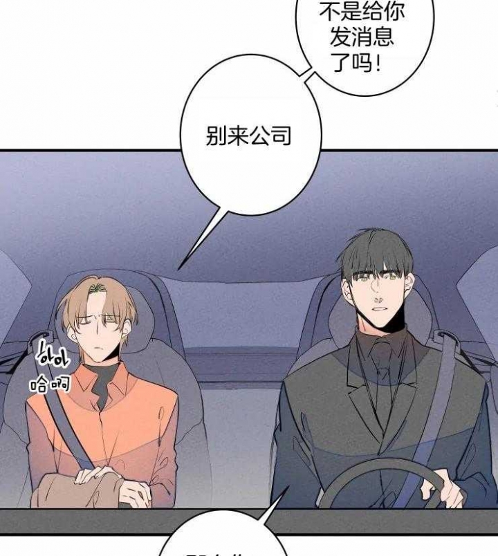 《结婚？可以啊》漫画最新章节第69话免费下拉式在线观看章节第【19】张图片