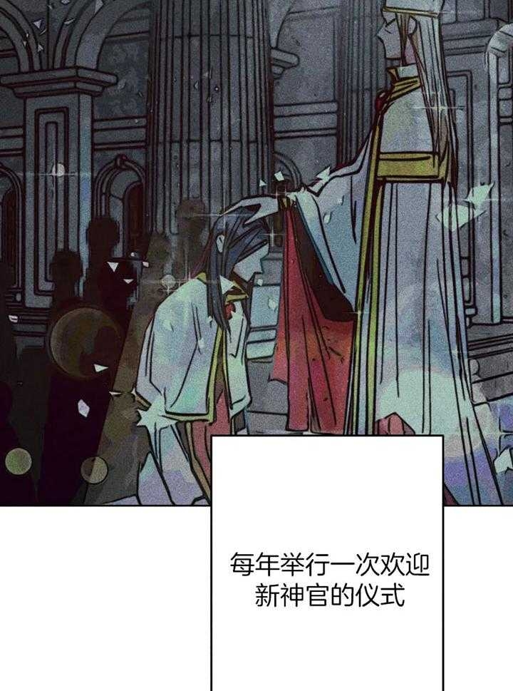 《轻易拯救法》漫画最新章节第61话免费下拉式在线观看章节第【12】张图片