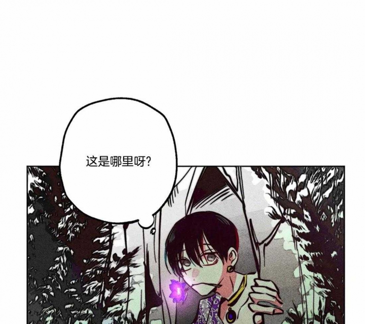 《轻易拯救法》漫画最新章节第77话免费下拉式在线观看章节第【27】张图片