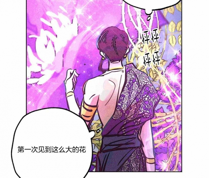 《轻易拯救法》漫画最新章节第77话免费下拉式在线观看章节第【13】张图片