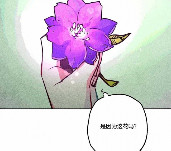 《轻易拯救法》漫画最新章节第77话免费下拉式在线观看章节第【34】张图片