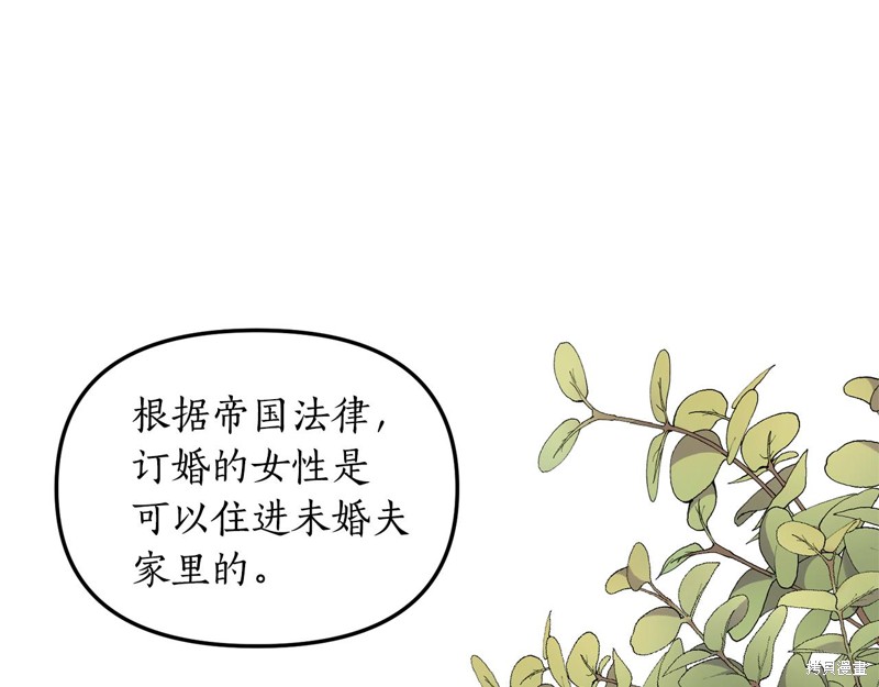 《我拆了我磕的cp？》漫画最新章节第1话免费下拉式在线观看章节第【168】张图片