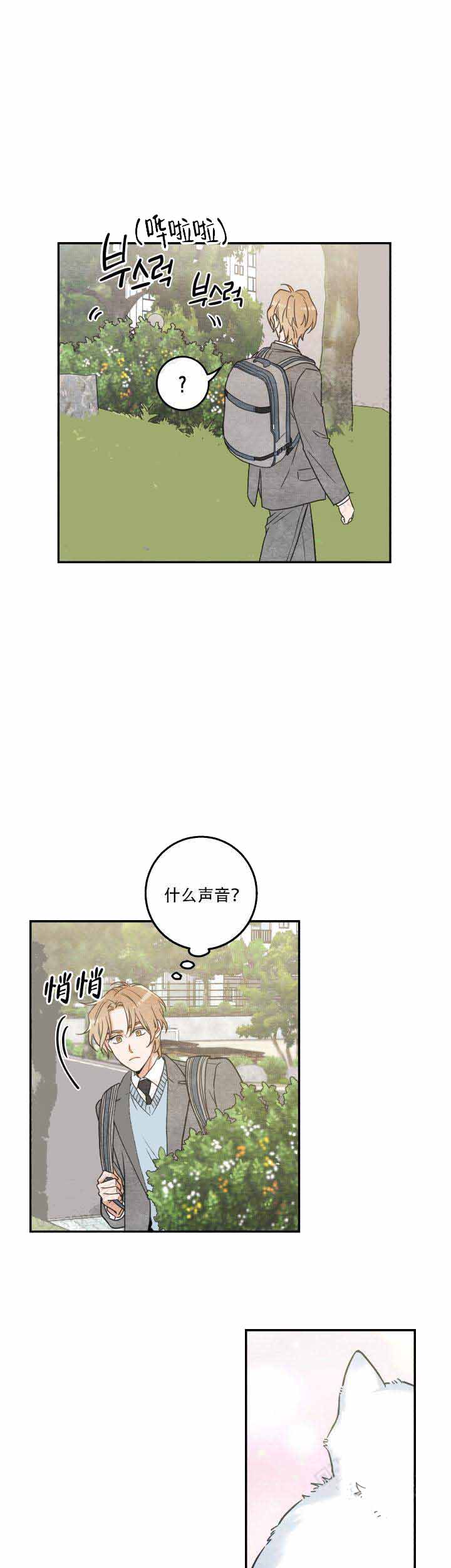 《我唯一的猫猫》漫画最新章节第19话免费下拉式在线观看章节第【6】张图片