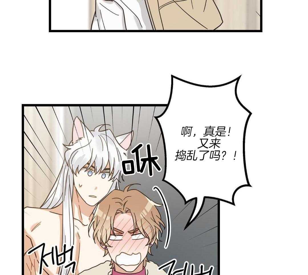 《我唯一的猫猫》漫画最新章节第45话免费下拉式在线观看章节第【3】张图片