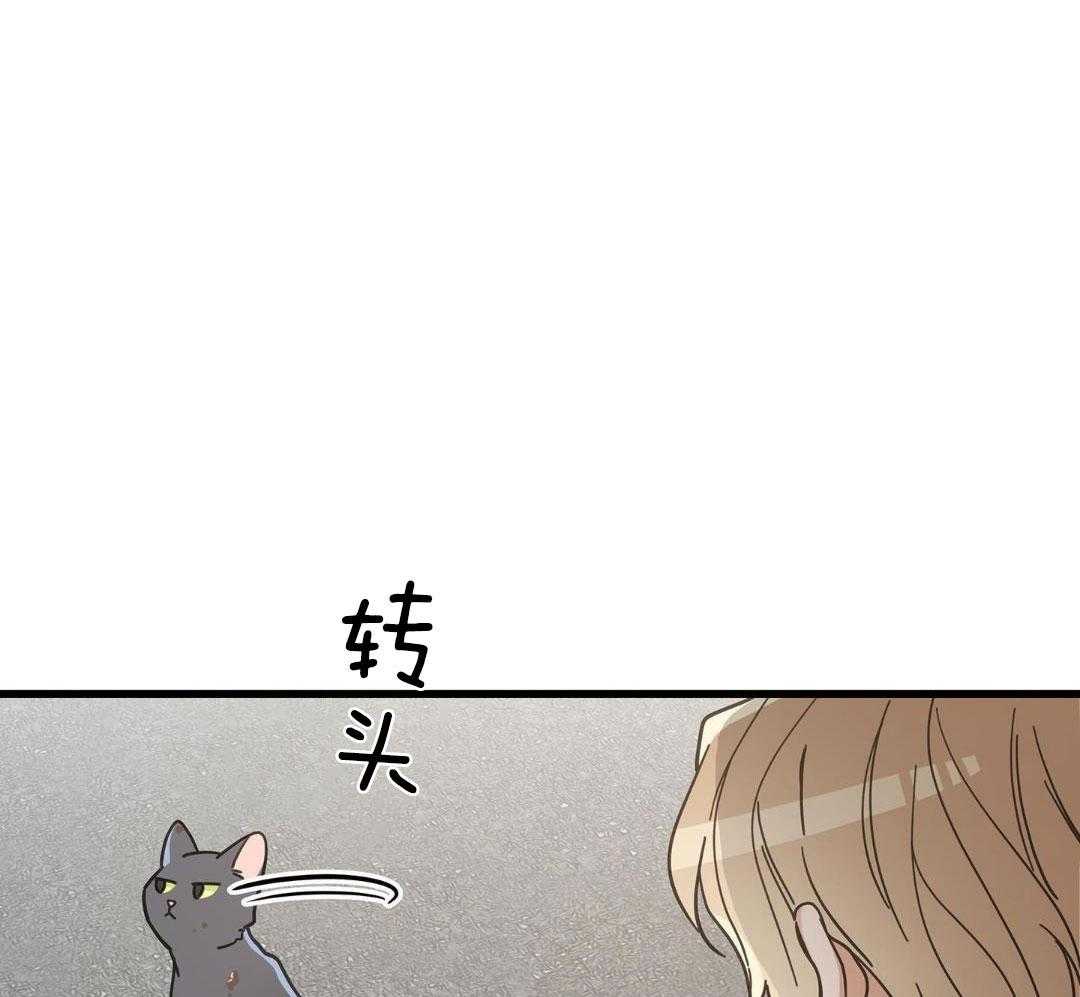 《我唯一的猫猫》漫画最新章节第32话免费下拉式在线观看章节第【29】张图片