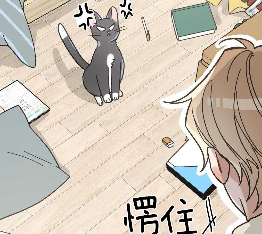 《我唯一的猫猫》漫画最新章节第45话免费下拉式在线观看章节第【7】张图片