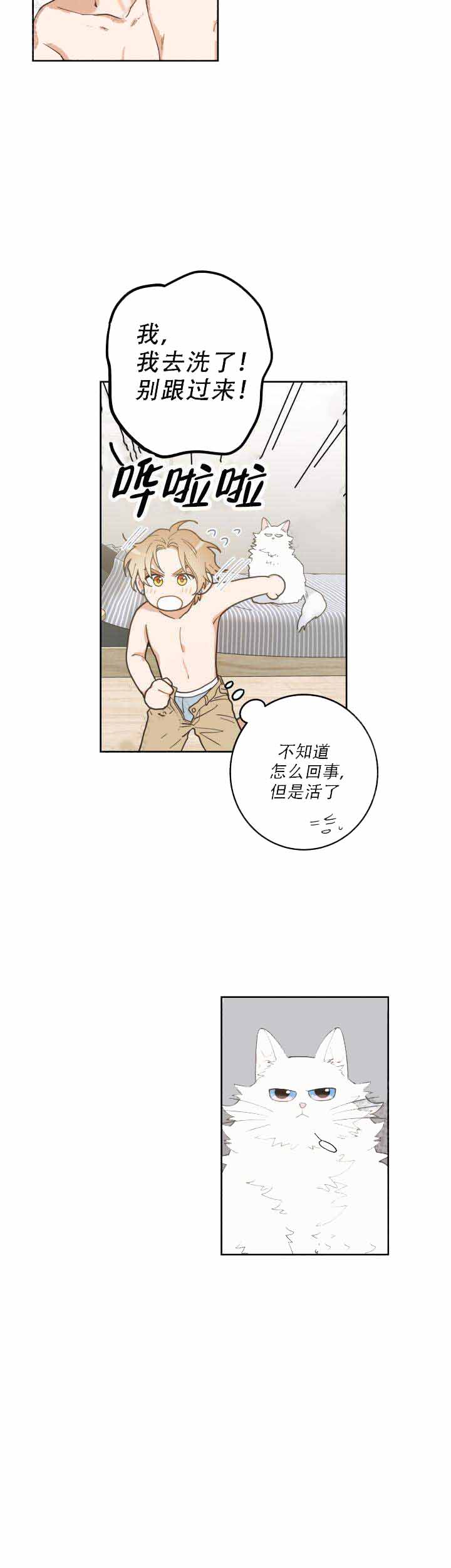 《我唯一的猫猫》漫画最新章节第10话免费下拉式在线观看章节第【20】张图片