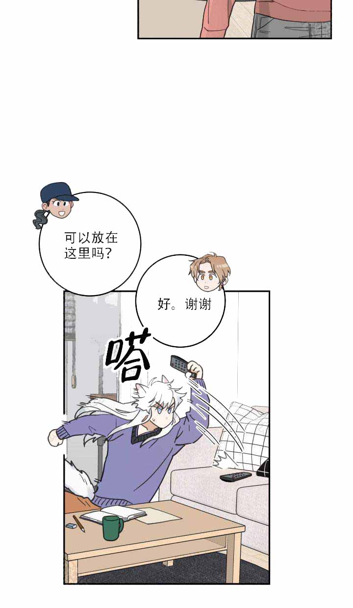 《我唯一的猫猫》漫画最新章节第13话免费下拉式在线观看章节第【3】张图片