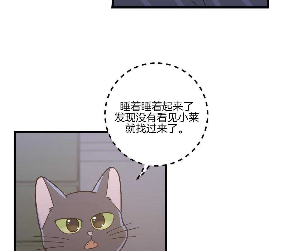 《我唯一的猫猫》漫画最新章节第41话免费下拉式在线观看章节第【31】张图片