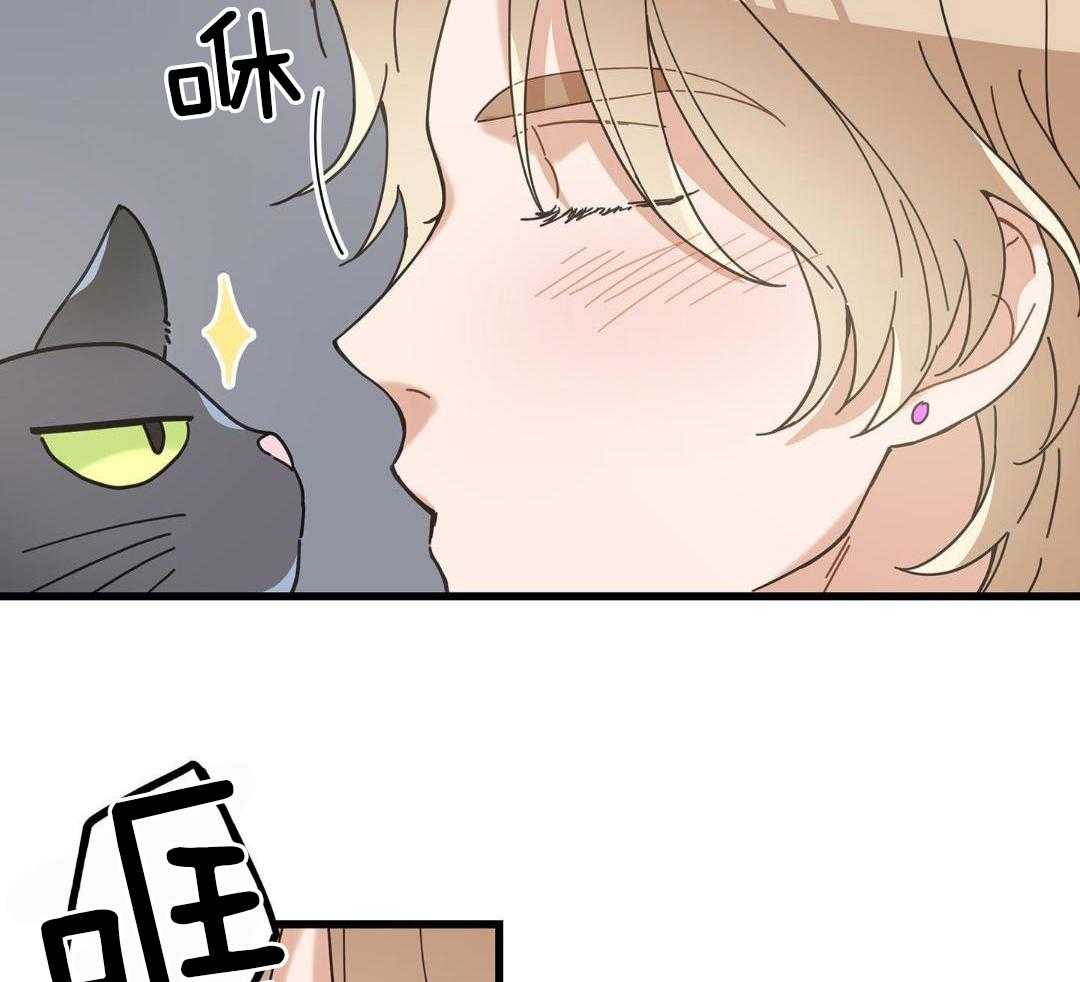 《我唯一的猫猫》漫画最新章节第43话免费下拉式在线观看章节第【27】张图片