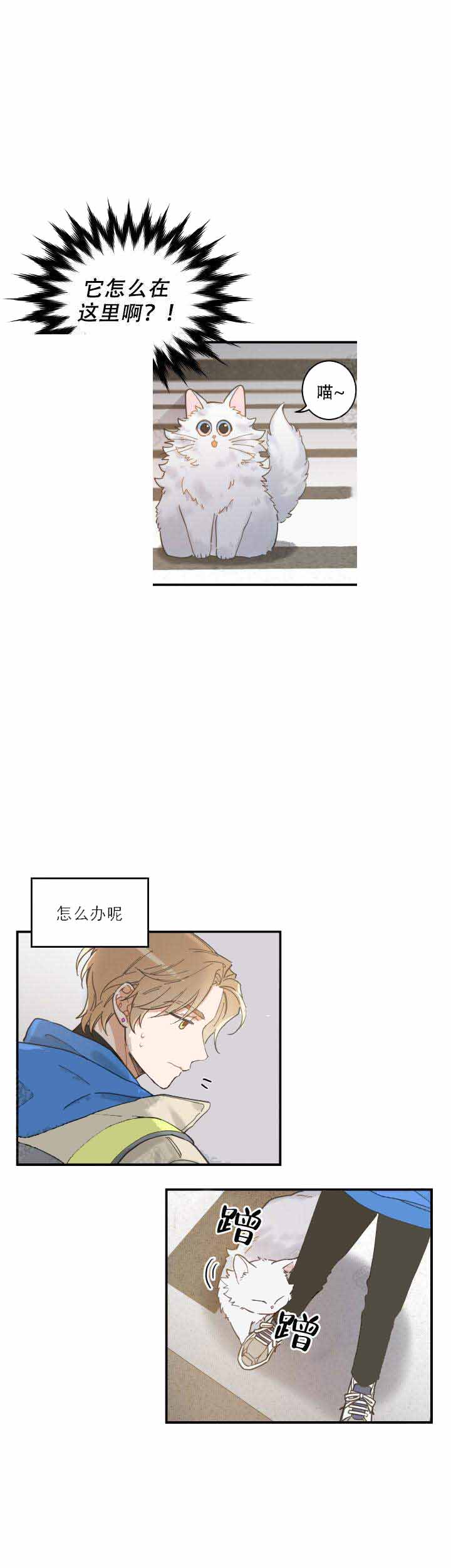 《我唯一的猫猫》漫画最新章节第3话免费下拉式在线观看章节第【4】张图片