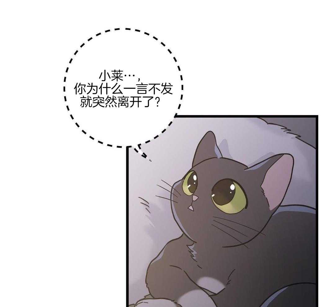 《我唯一的猫猫》漫画最新章节第42话免费下拉式在线观看章节第【11】张图片