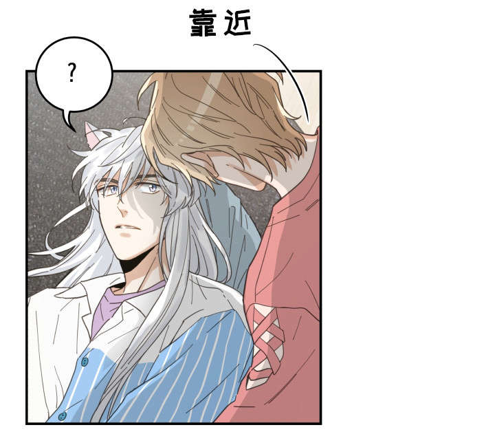 《我唯一的猫猫》漫画最新章节第21话免费下拉式在线观看章节第【10】张图片