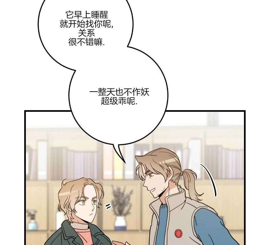 《我唯一的猫猫》漫画最新章节第54话免费下拉式在线观看章节第【36】张图片