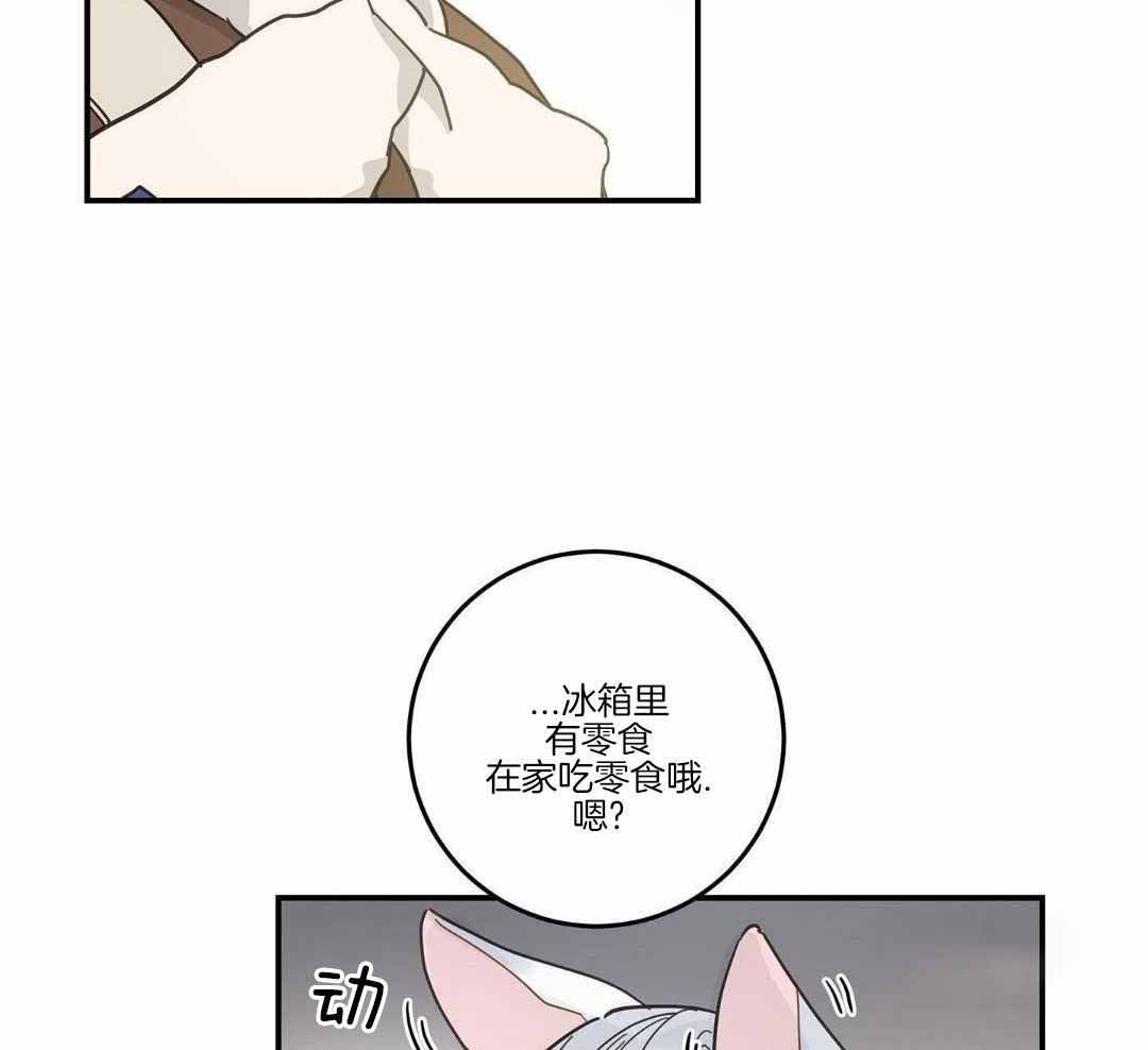 《我唯一的猫猫》漫画最新章节第49话免费下拉式在线观看章节第【27】张图片