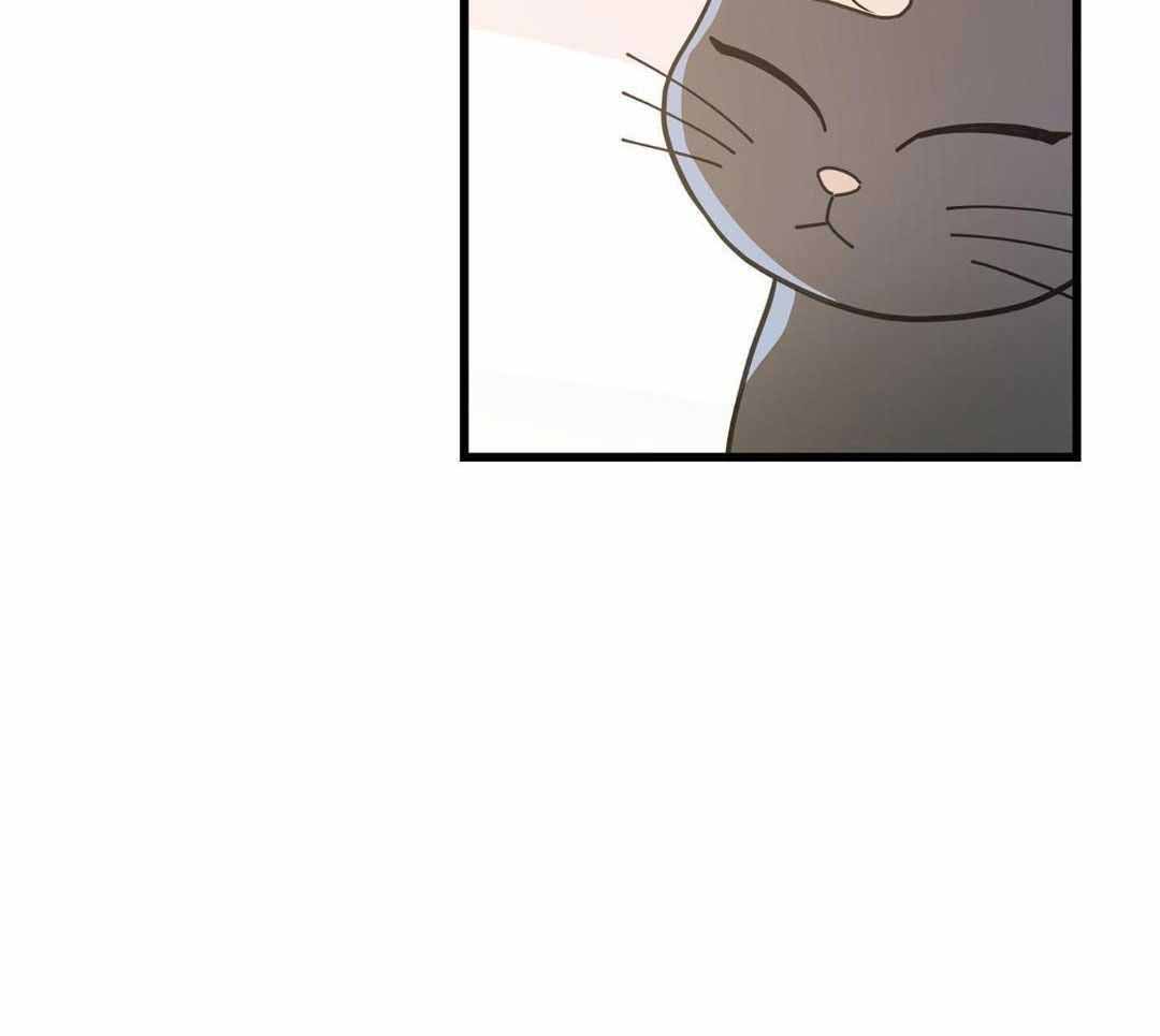 《我唯一的猫猫》漫画最新章节第58话免费下拉式在线观看章节第【37】张图片