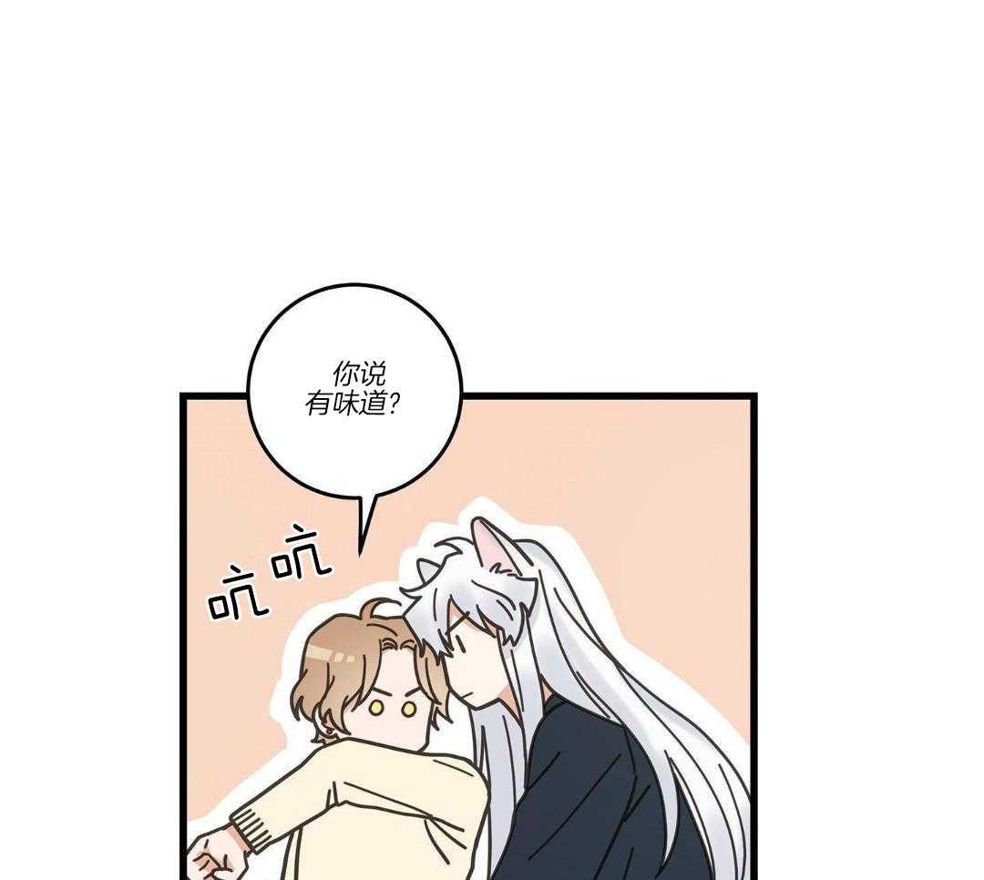 《我唯一的猫猫》漫画最新章节第36话免费下拉式在线观看章节第【20】张图片