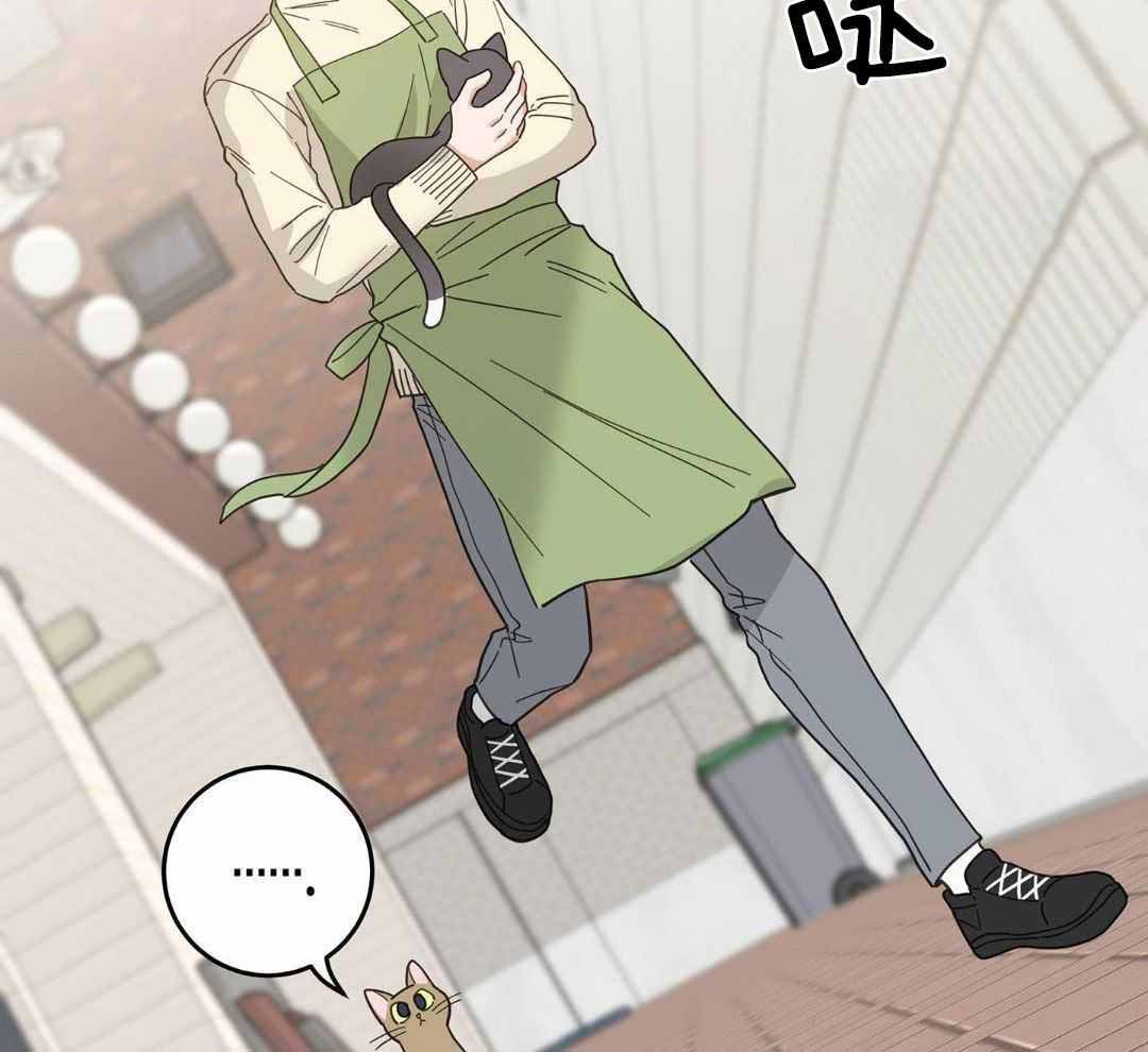 《我唯一的猫猫》漫画最新章节第34话免费下拉式在线观看章节第【30】张图片