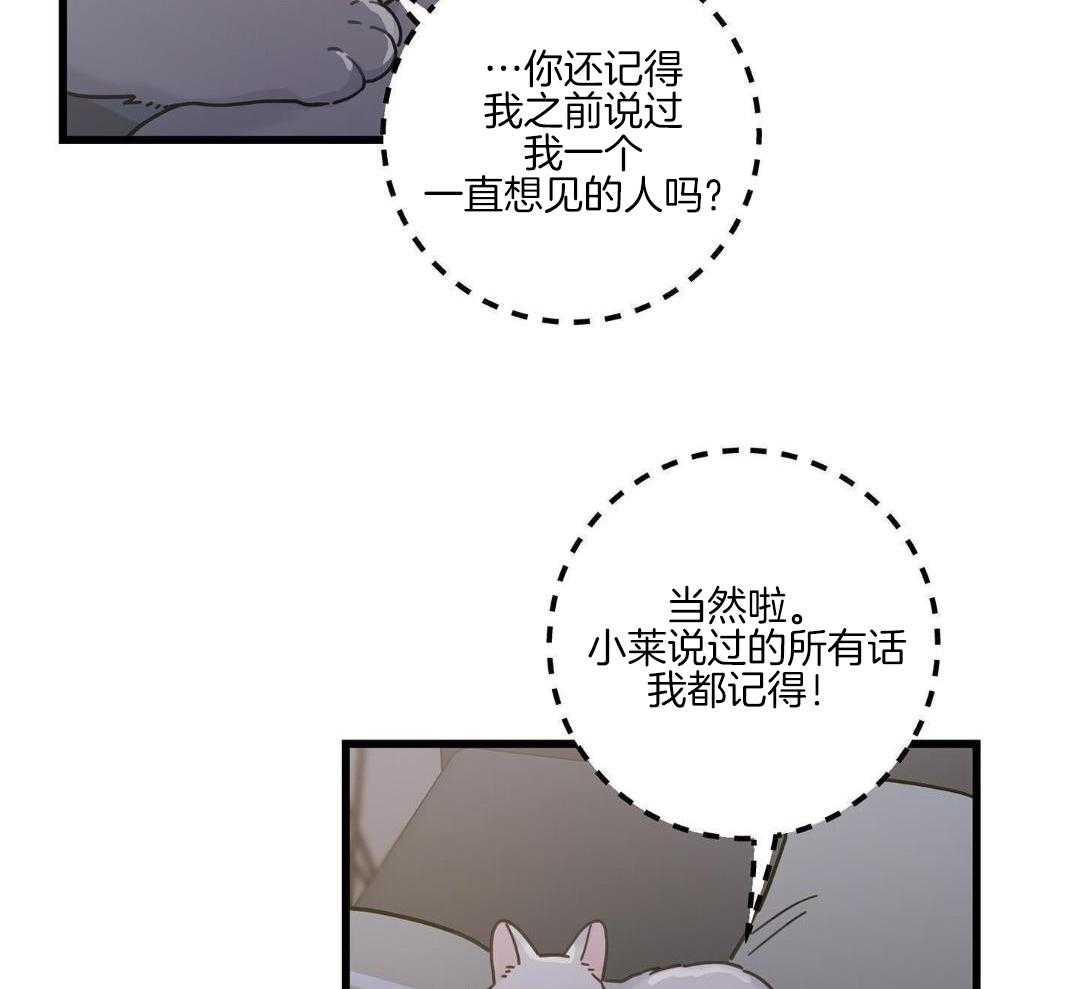 《我唯一的猫猫》漫画最新章节第42话免费下拉式在线观看章节第【13】张图片