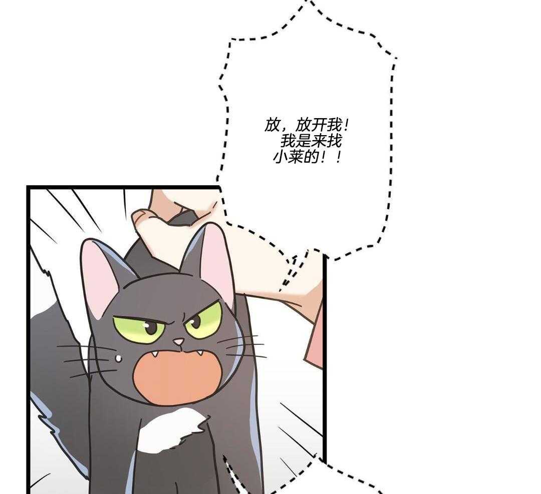 《我唯一的猫猫》漫画最新章节第39话免费下拉式在线观看章节第【19】张图片