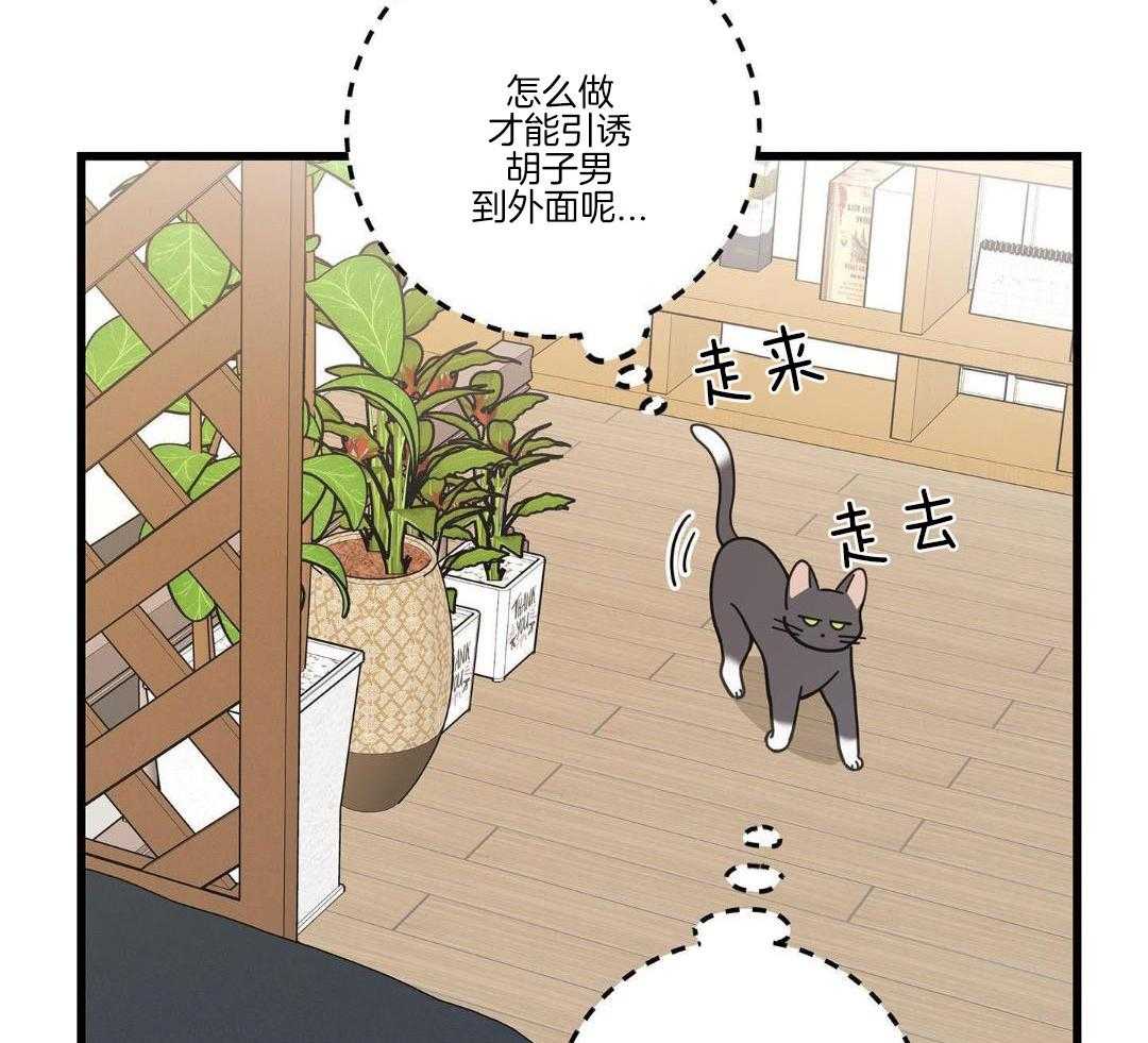 《我唯一的猫猫》漫画最新章节第58话免费下拉式在线观看章节第【14】张图片
