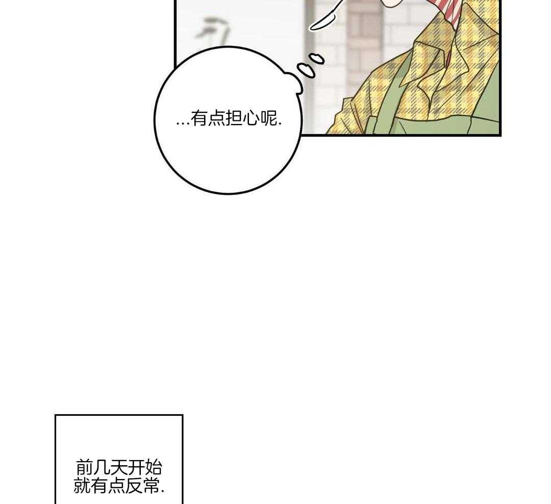 《我唯一的猫猫》漫画最新章节第49话免费下拉式在线观看章节第【43】张图片