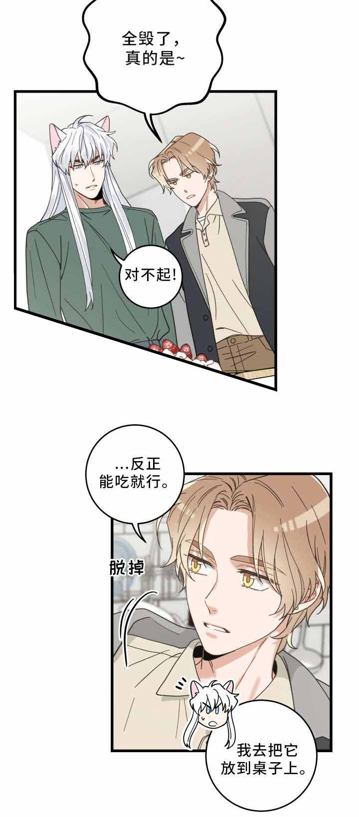 《我唯一的猫猫》漫画最新章节第29话免费下拉式在线观看章节第【5】张图片