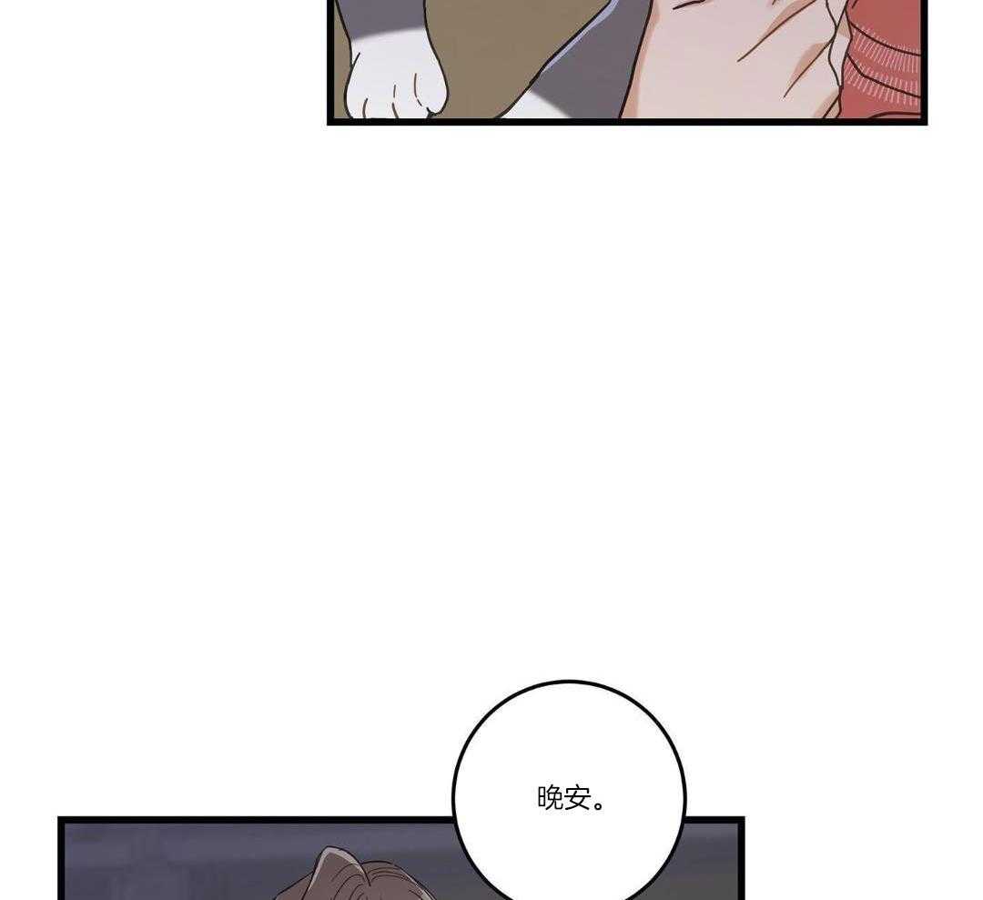 《我唯一的猫猫》漫画最新章节第37话免费下拉式在线观看章节第【14】张图片