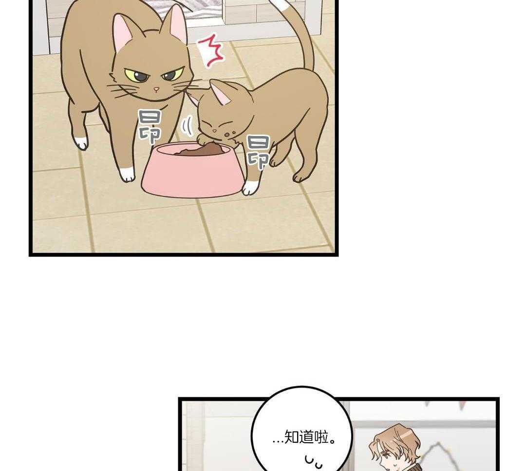 《我唯一的猫猫》漫画最新章节第33话免费下拉式在线观看章节第【16】张图片