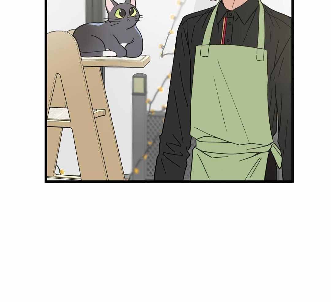 《我唯一的猫猫》漫画最新章节第37话免费下拉式在线观看章节第【37】张图片