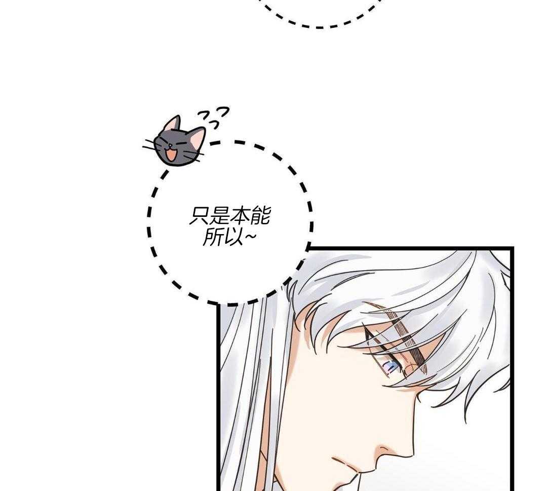 《我唯一的猫猫》漫画最新章节第44话免费下拉式在线观看章节第【4】张图片