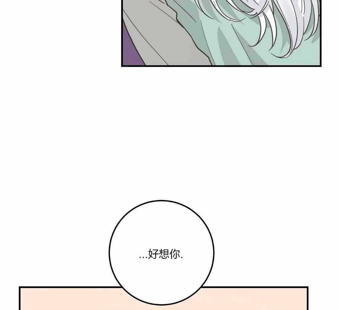 《我唯一的猫猫》漫画最新章节第48话免费下拉式在线观看章节第【5】张图片