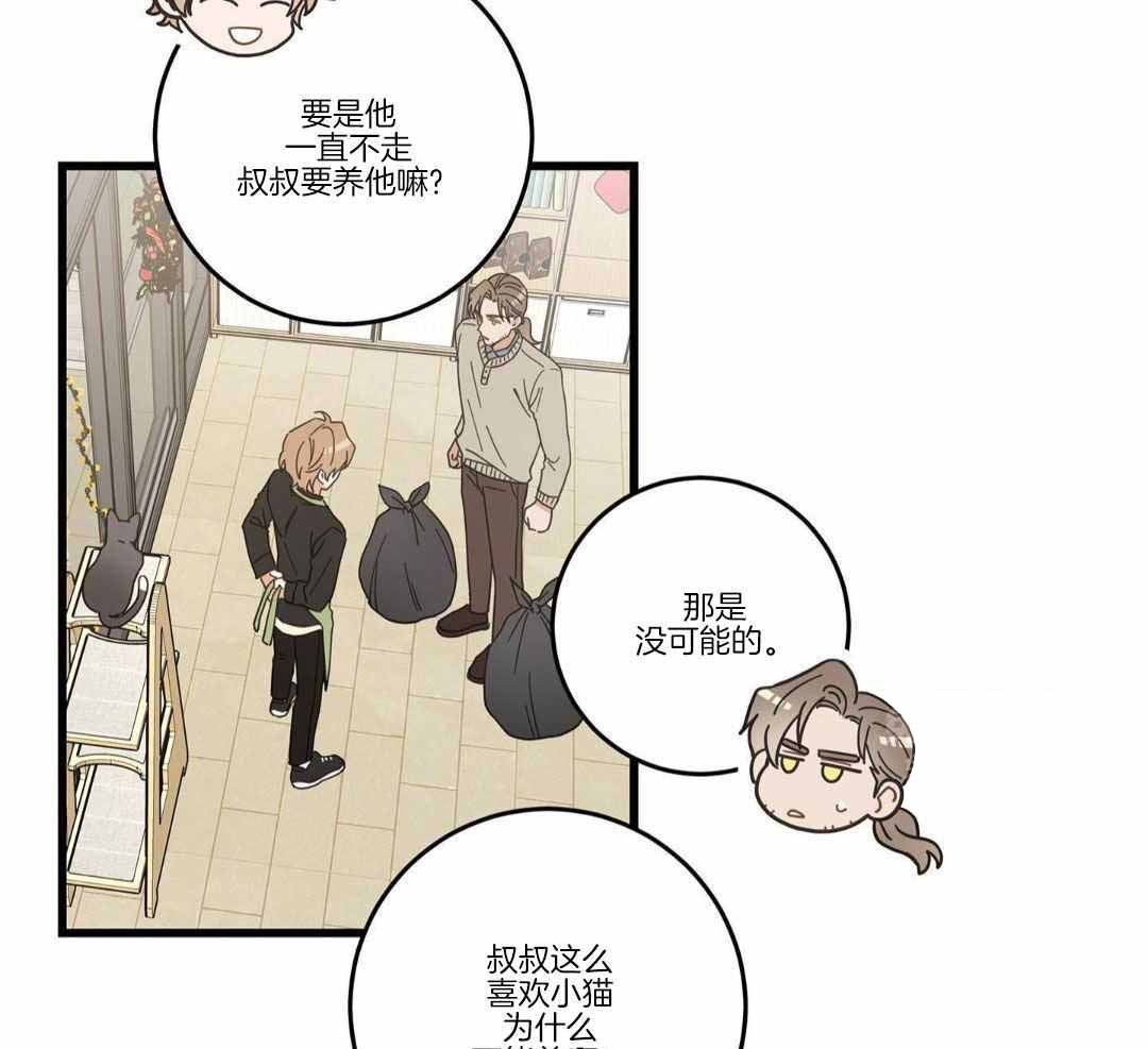 《我唯一的猫猫》漫画最新章节第37话免费下拉式在线观看章节第【30】张图片