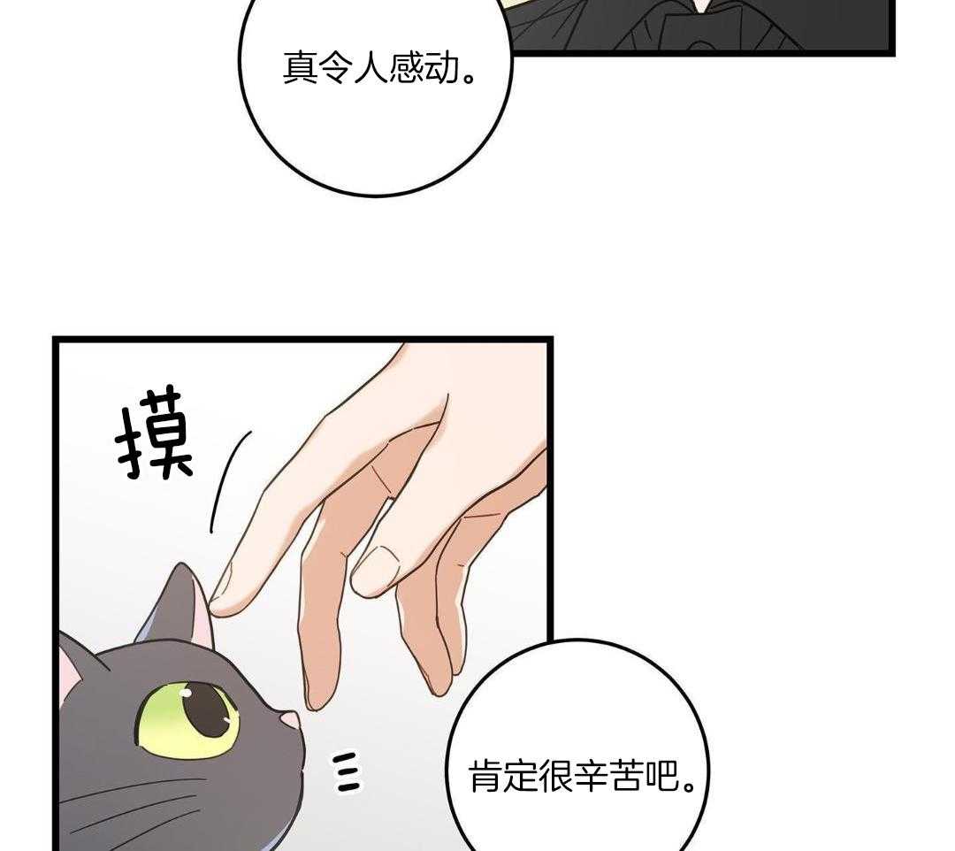 《我唯一的猫猫》漫画最新章节第40话免费下拉式在线观看章节第【10】张图片