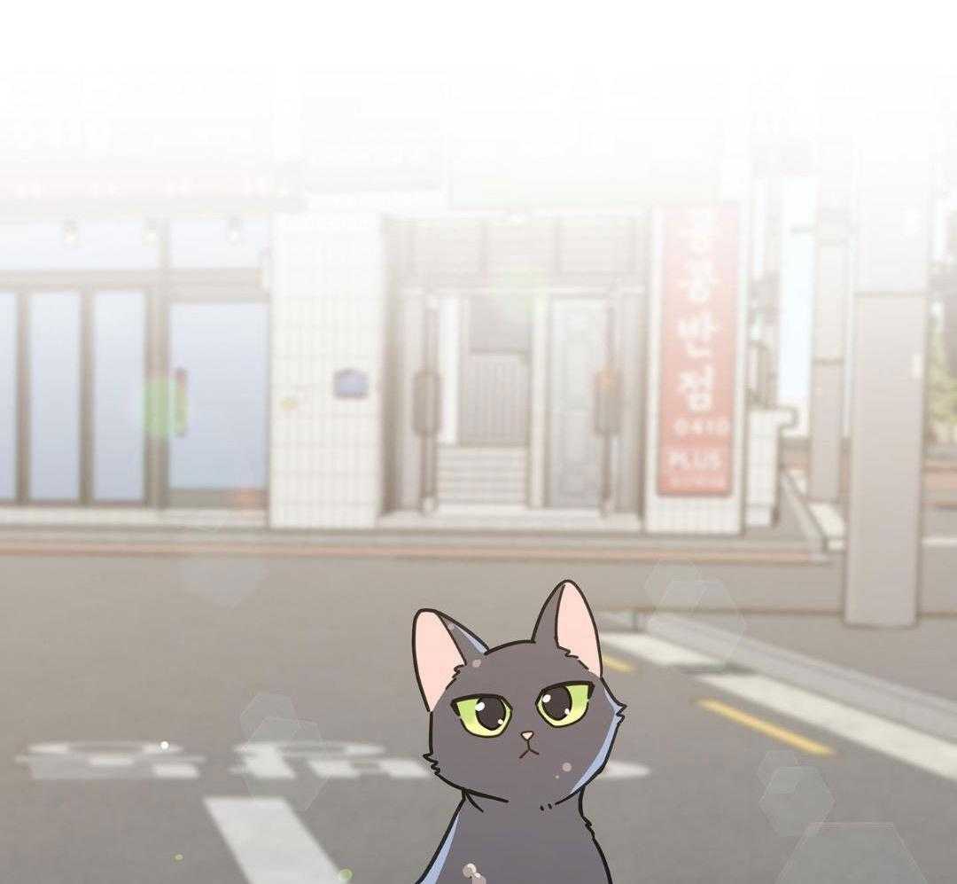 《我唯一的猫猫》漫画最新章节第32话免费下拉式在线观看章节第【24】张图片