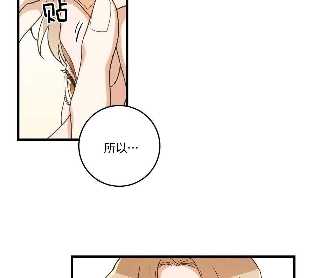 《我唯一的猫猫》漫画最新章节第40话免费下拉式在线观看章节第【2】张图片