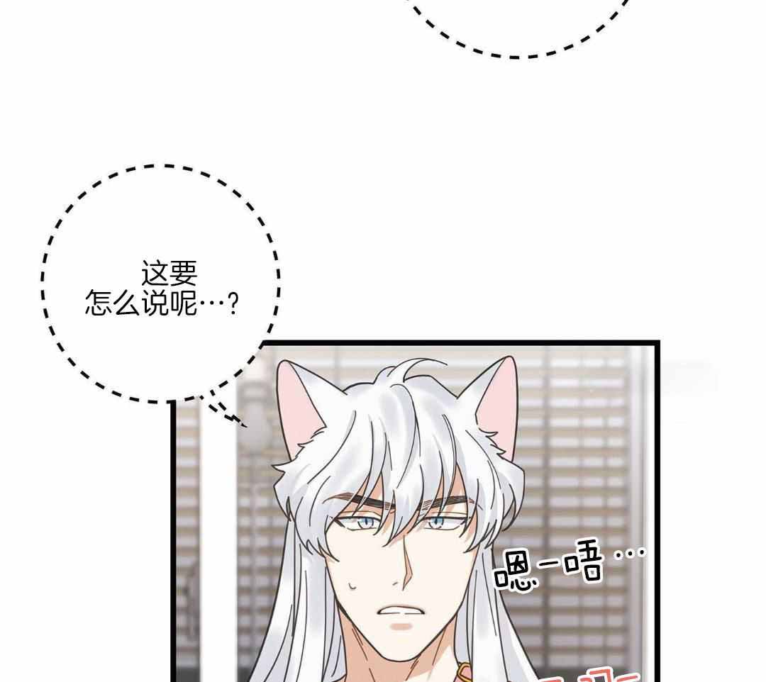 《我唯一的猫猫》漫画最新章节第40话免费下拉式在线观看章节第【13】张图片