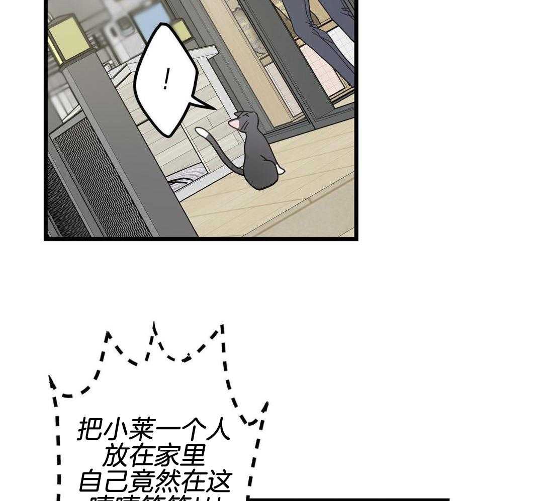 《我唯一的猫猫》漫画最新章节第47话免费下拉式在线观看章节第【6】张图片