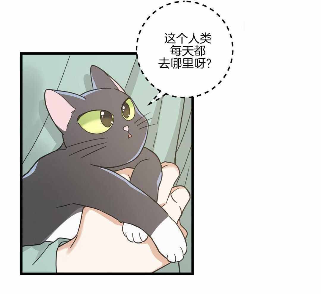 《我唯一的猫猫》漫画最新章节第46话免费下拉式在线观看章节第【4】张图片