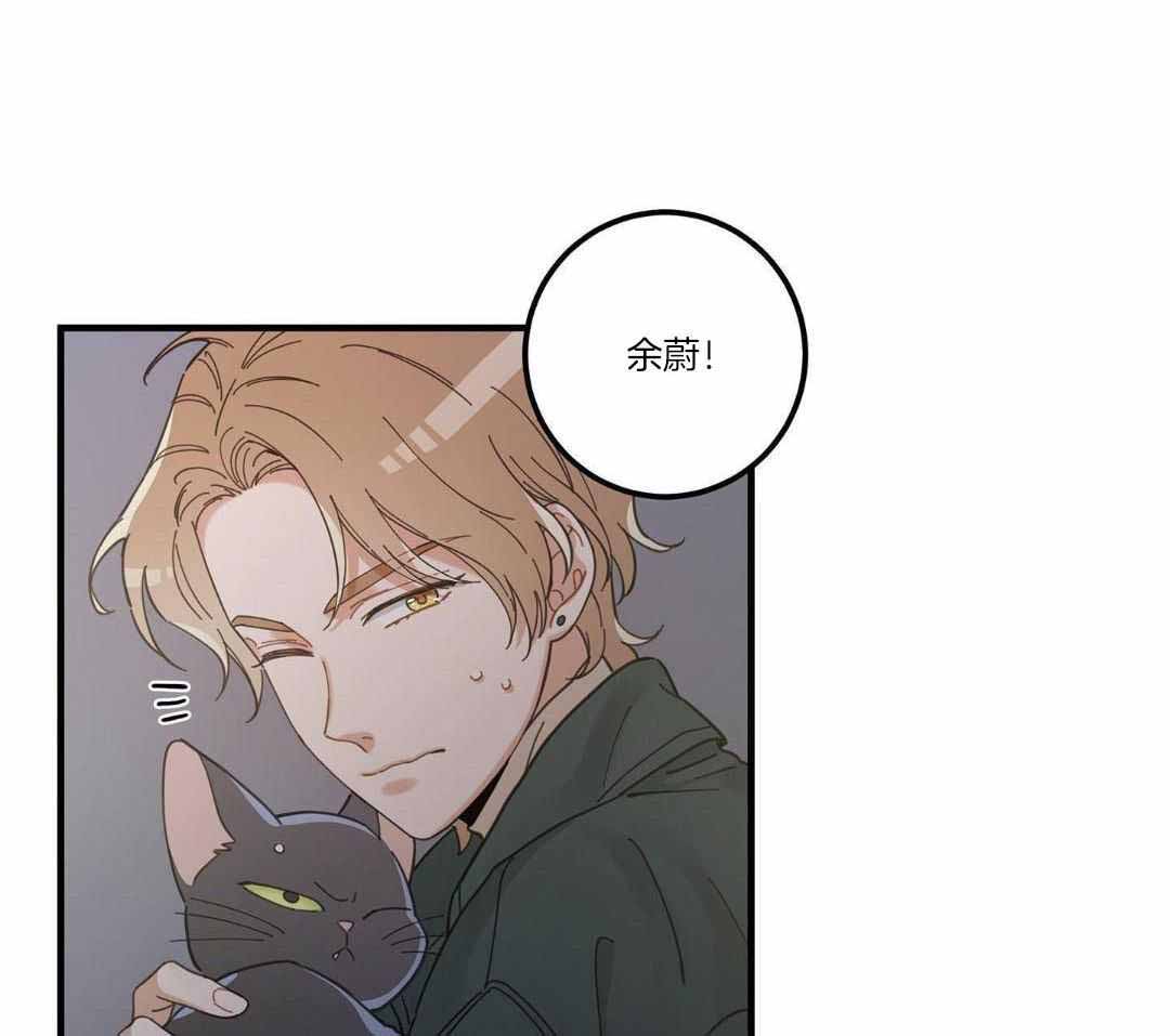 《我唯一的猫猫》漫画最新章节第55话免费下拉式在线观看章节第【15】张图片