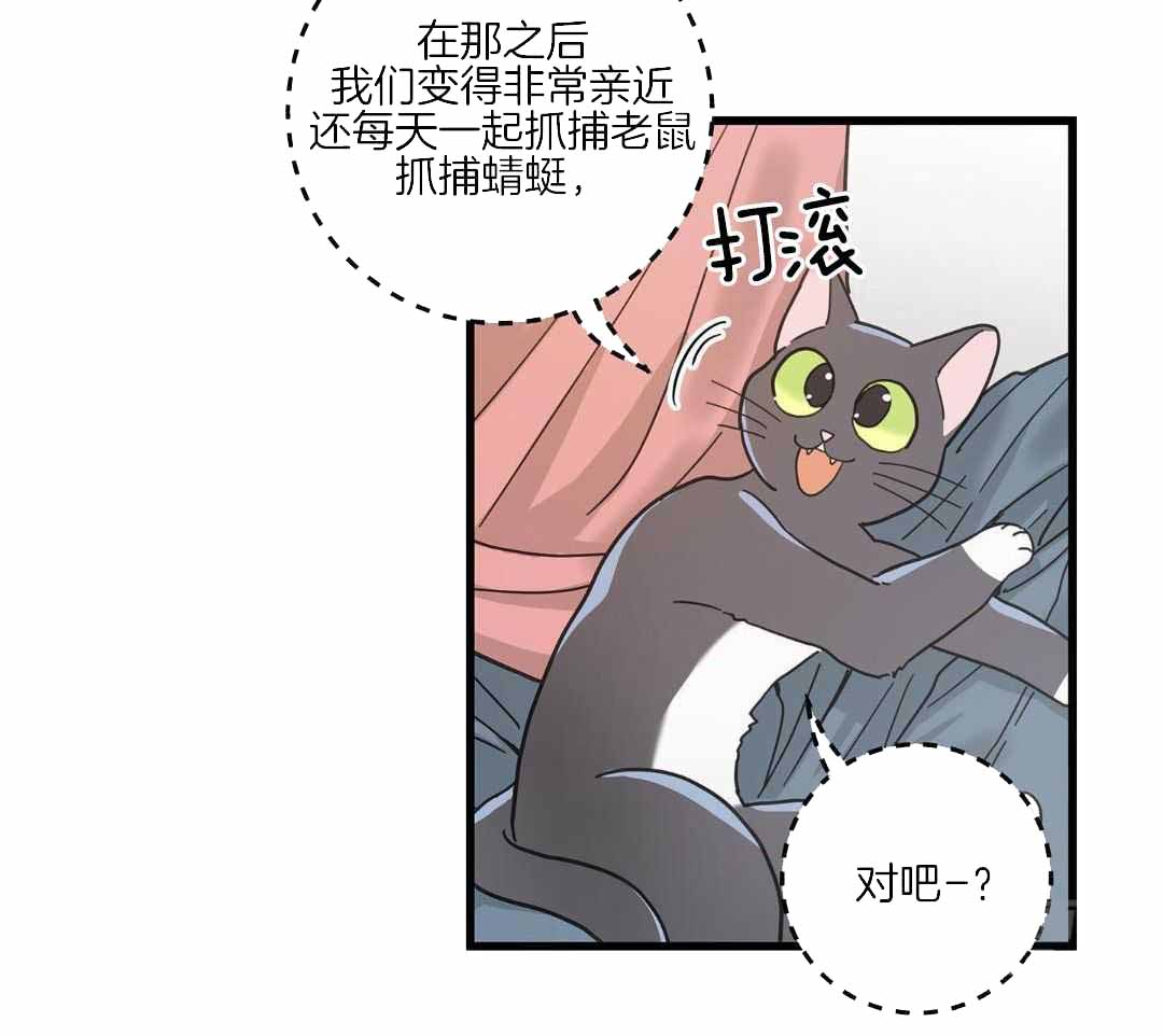 《我唯一的猫猫》漫画最新章节第40话免费下拉式在线观看章节第【6】张图片