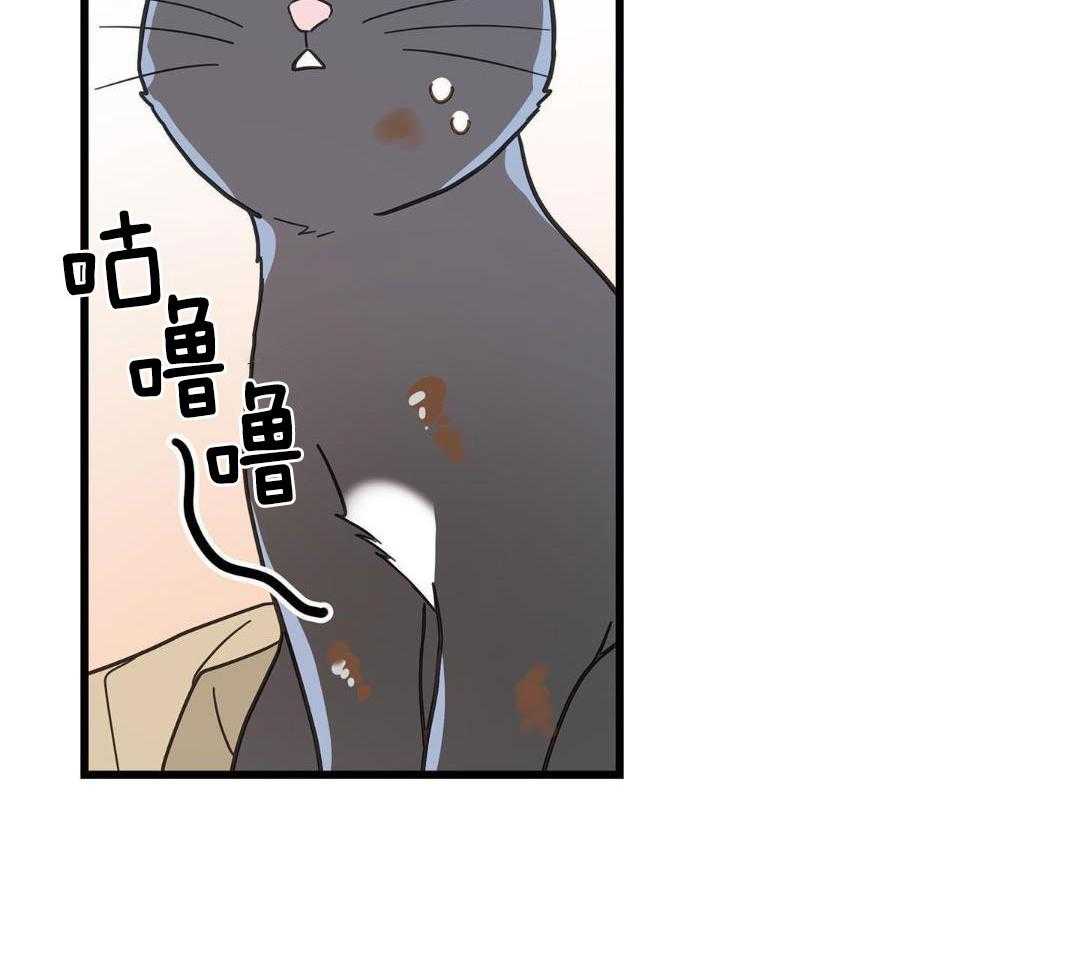 《我唯一的猫猫》漫画最新章节第35话免费下拉式在线观看章节第【8】张图片