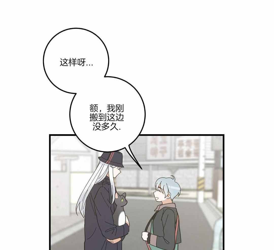 《我唯一的猫猫》漫画最新章节第57话免费下拉式在线观看章节第【27】张图片