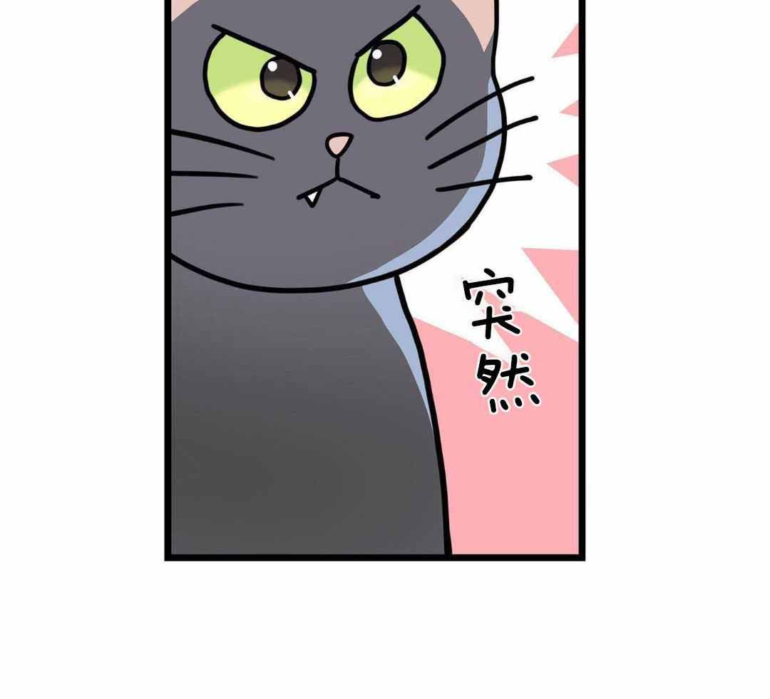 《我唯一的猫猫》漫画最新章节第58话免费下拉式在线观看章节第【17】张图片