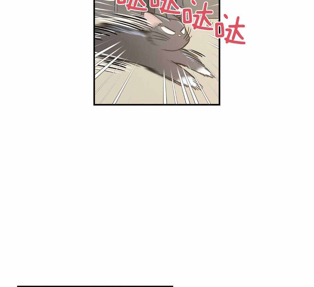 《我唯一的猫猫》漫画最新章节第47话免费下拉式在线观看章节第【31】张图片