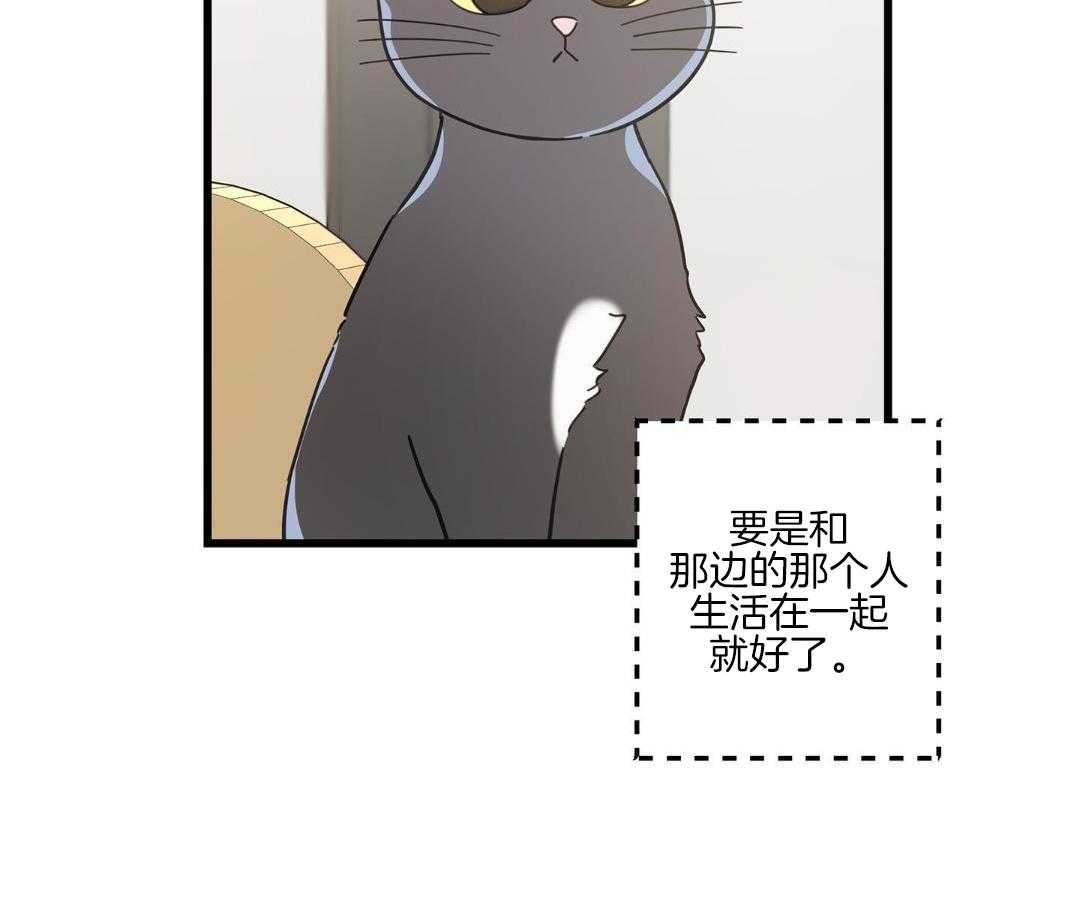 《我唯一的猫猫》漫画最新章节第47话免费下拉式在线观看章节第【27】张图片