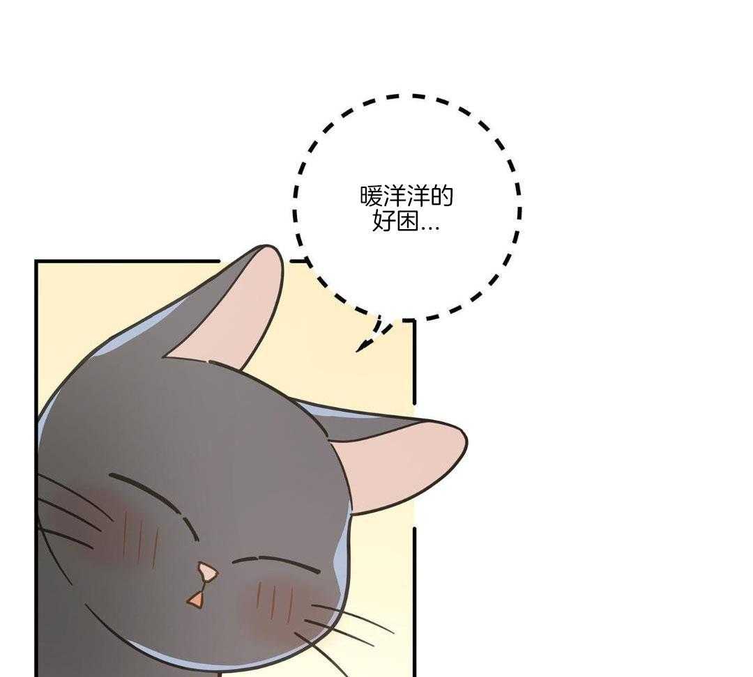 《我唯一的猫猫》漫画最新章节第47话免费下拉式在线观看章节第【50】张图片