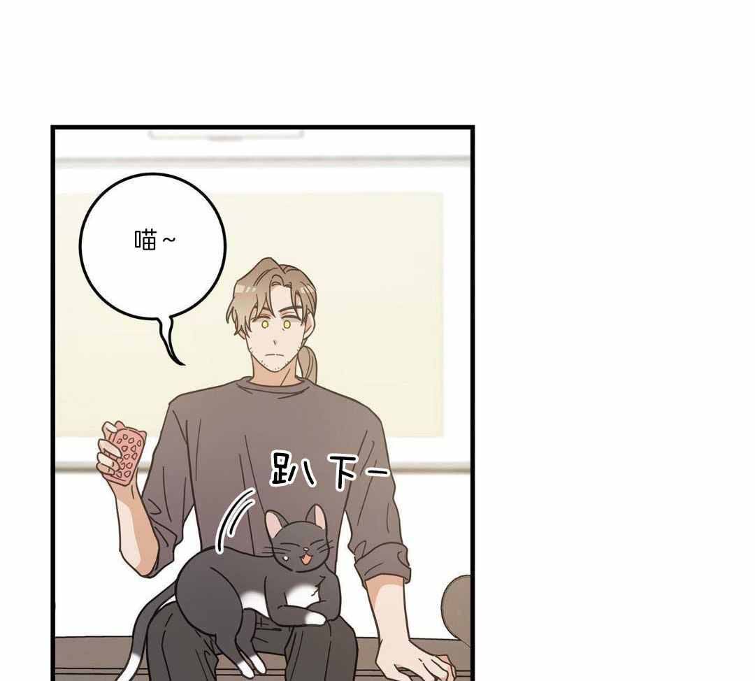 《我唯一的猫猫》漫画最新章节第53话免费下拉式在线观看章节第【38】张图片