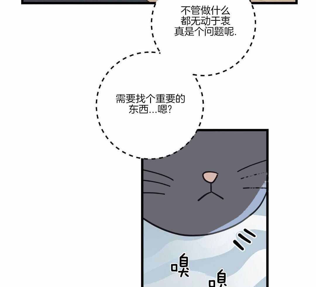《我唯一的猫猫》漫画最新章节第58话免费下拉式在线观看章节第【15】张图片