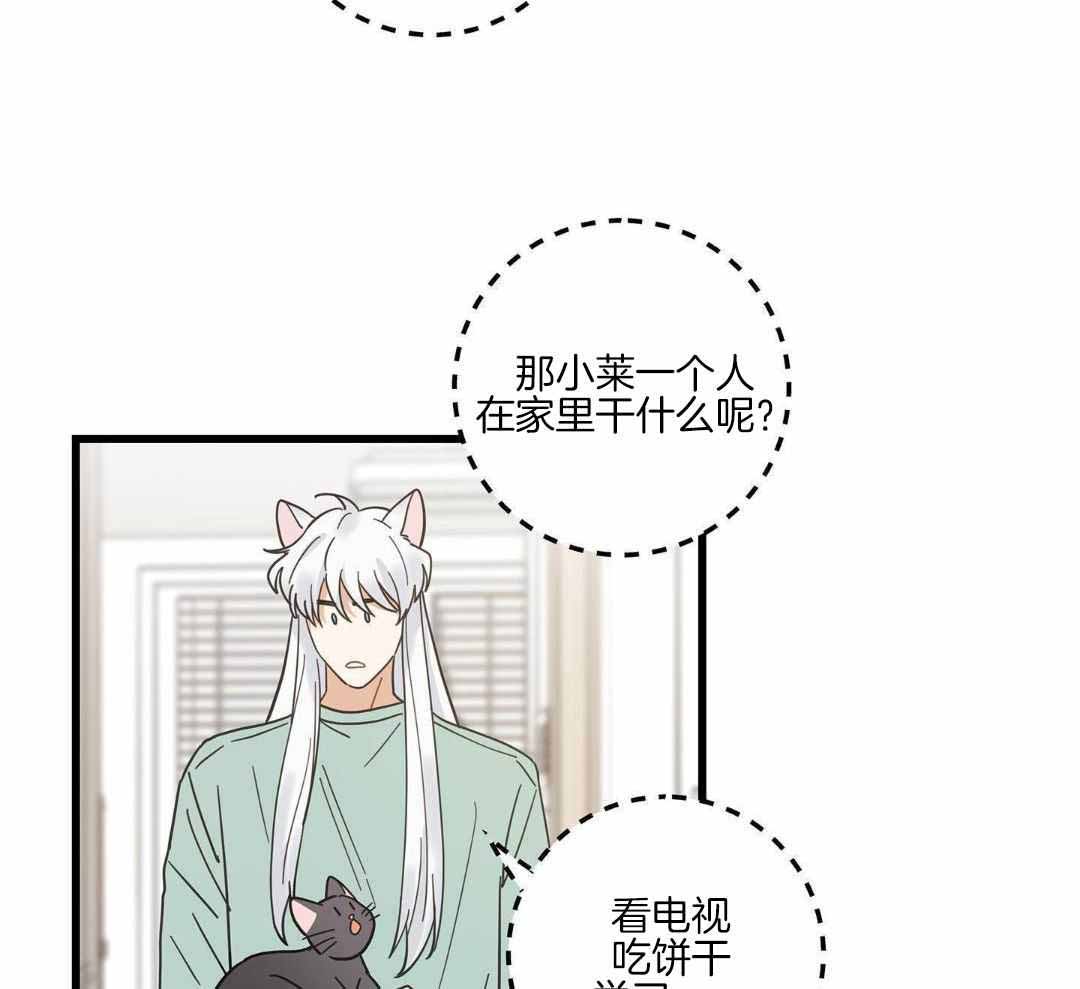 《我唯一的猫猫》漫画最新章节第46话免费下拉式在线观看章节第【6】张图片